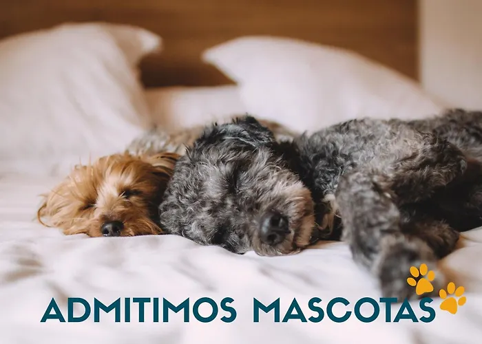 Suances - Hinojedo 3000 公寓 Viveda