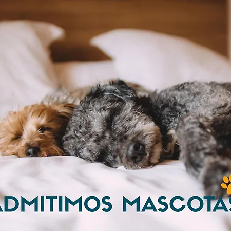 Suances - Hinojedo 3000 Apartament Viveda